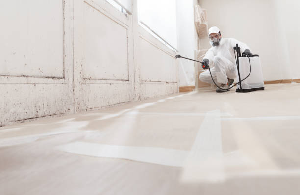 24/7 Emergency Mold Inspection experts in Springfield, MI