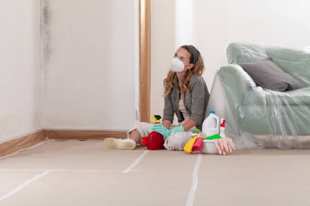 Reliable Mold Inspection contractor in Springfield, MI by WQB Mold Removal